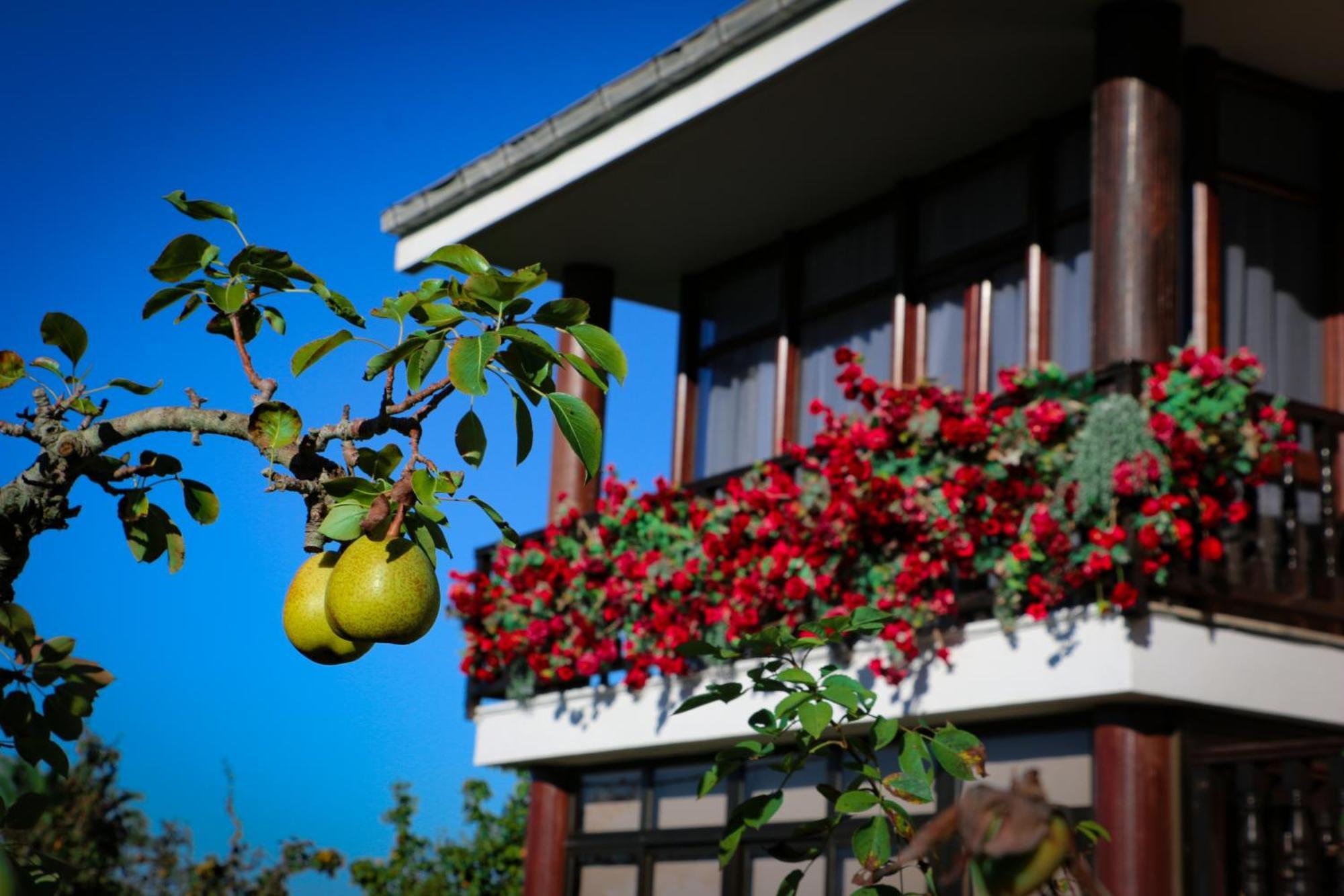 Hotel Cosma House Hinojedo Zewnętrze zdjęcie